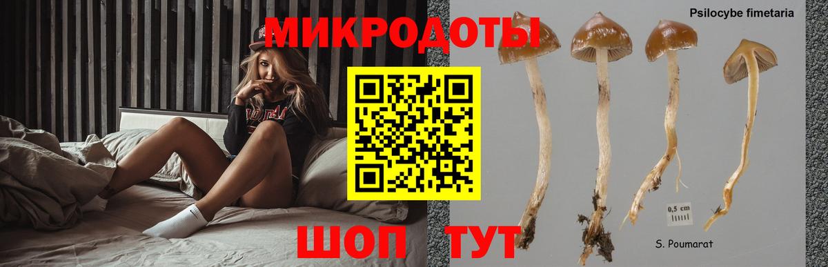 Соль-Илецк  Галлюциногенные грибы MAGIC MUSHROOMS  наркота  Вход с VPN 